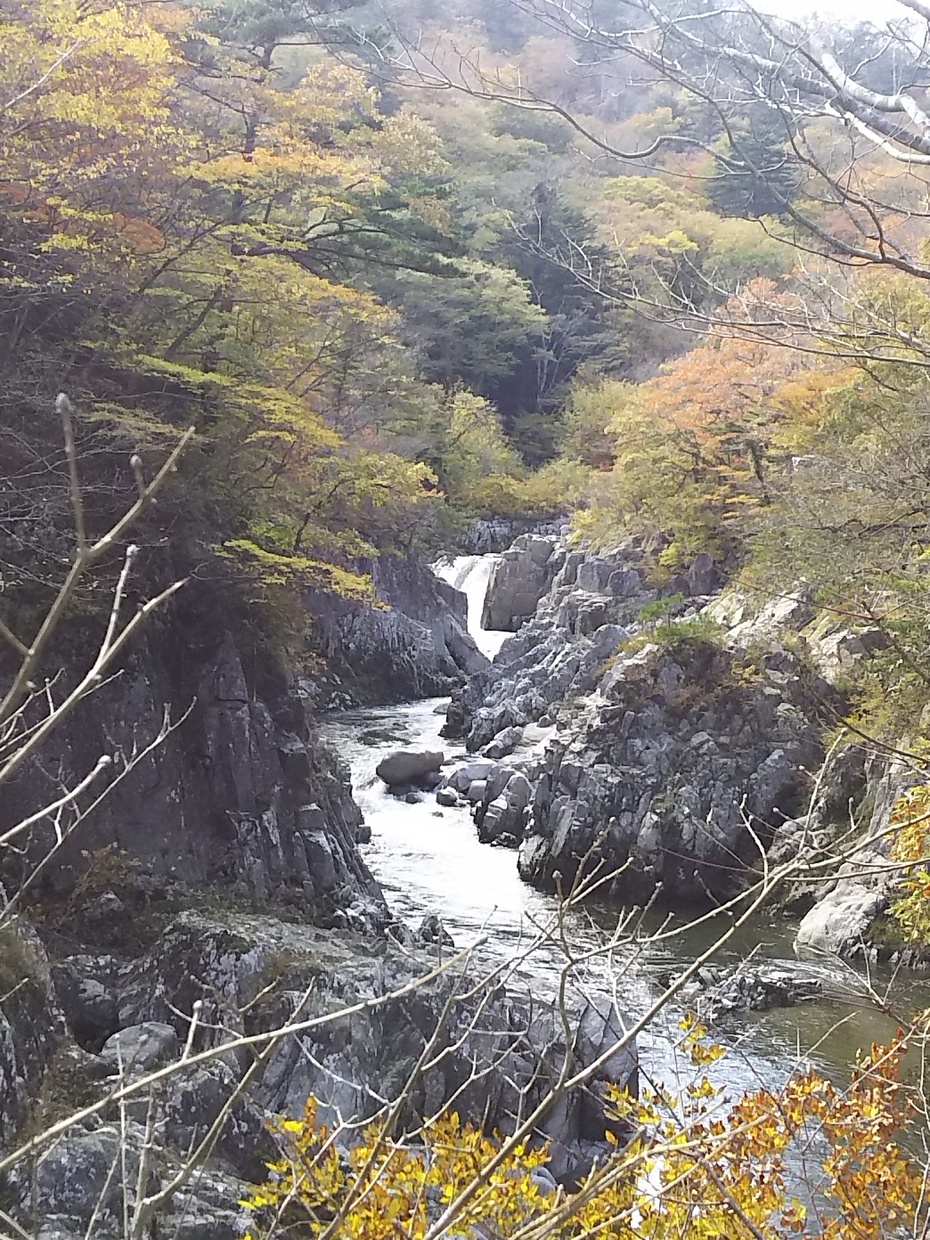 夏井川渓谷の紅葉 A Wonderful Life